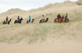 Activités ludiques et sportives