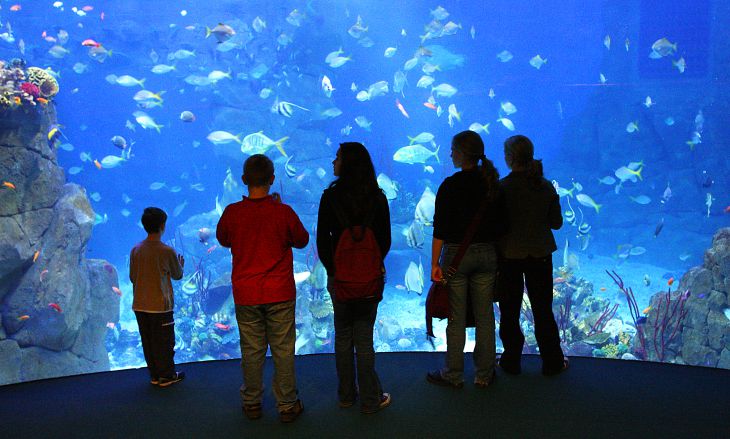 Découvertes culturelles et touristiques