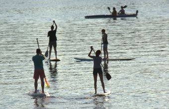 Activités ludiques et sportives