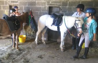 Activités ludiques et sportives