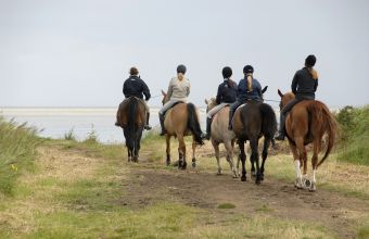 Activités ludiques et sportives