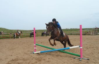 Activités ludiques et sportives