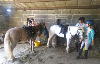 Activités ludiques et sportives