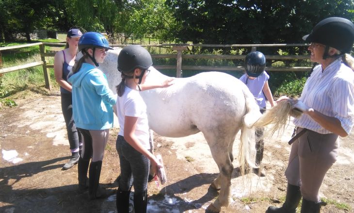 Activités ludiques et sportives