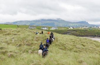 Activités et visites