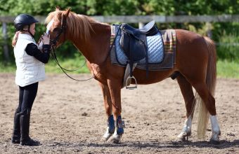 Activités et visites