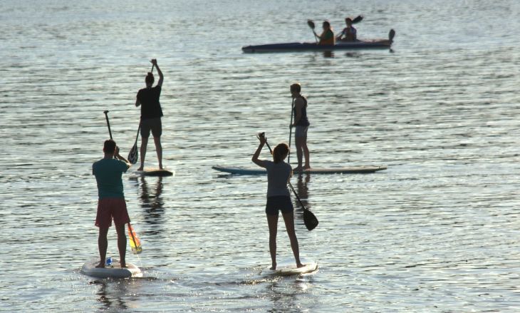 Activités et visites