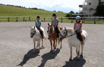 Activités et visites
