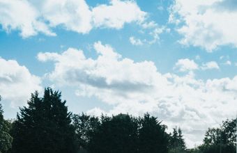 Activités et visites