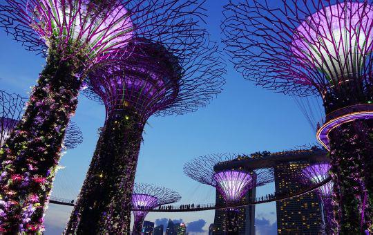 Singapour : Le Green Eden