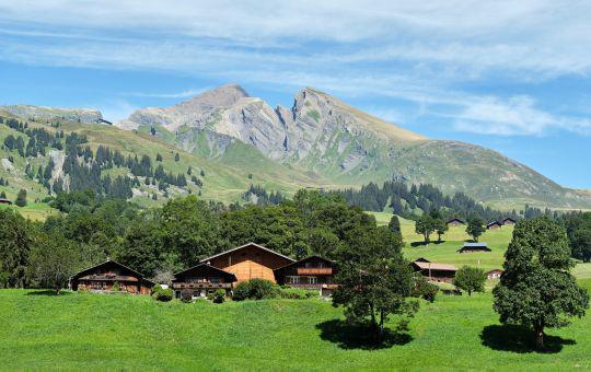 Campus international en Suisse - 2 semaines