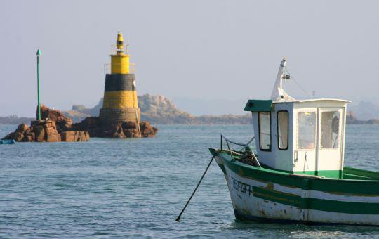 Immersion chez le professeur en Bretagne