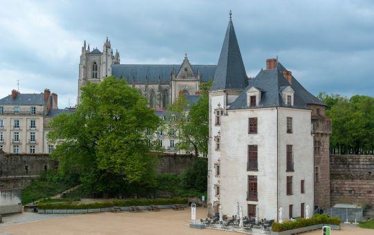 Immersion chez le professeur en Pays de la Loire