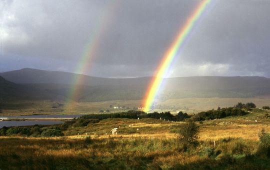 Fun and Sport in Ireland